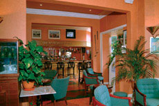 Restaurant or Bar Picture Large